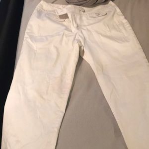 Ann Taylor Dress Pant